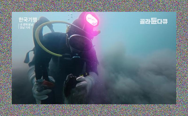 1시간 반 만에 40만원? 거제 앞바다엔 '이것' 주우러 목숨 거는 부자 잠수부가 있다!